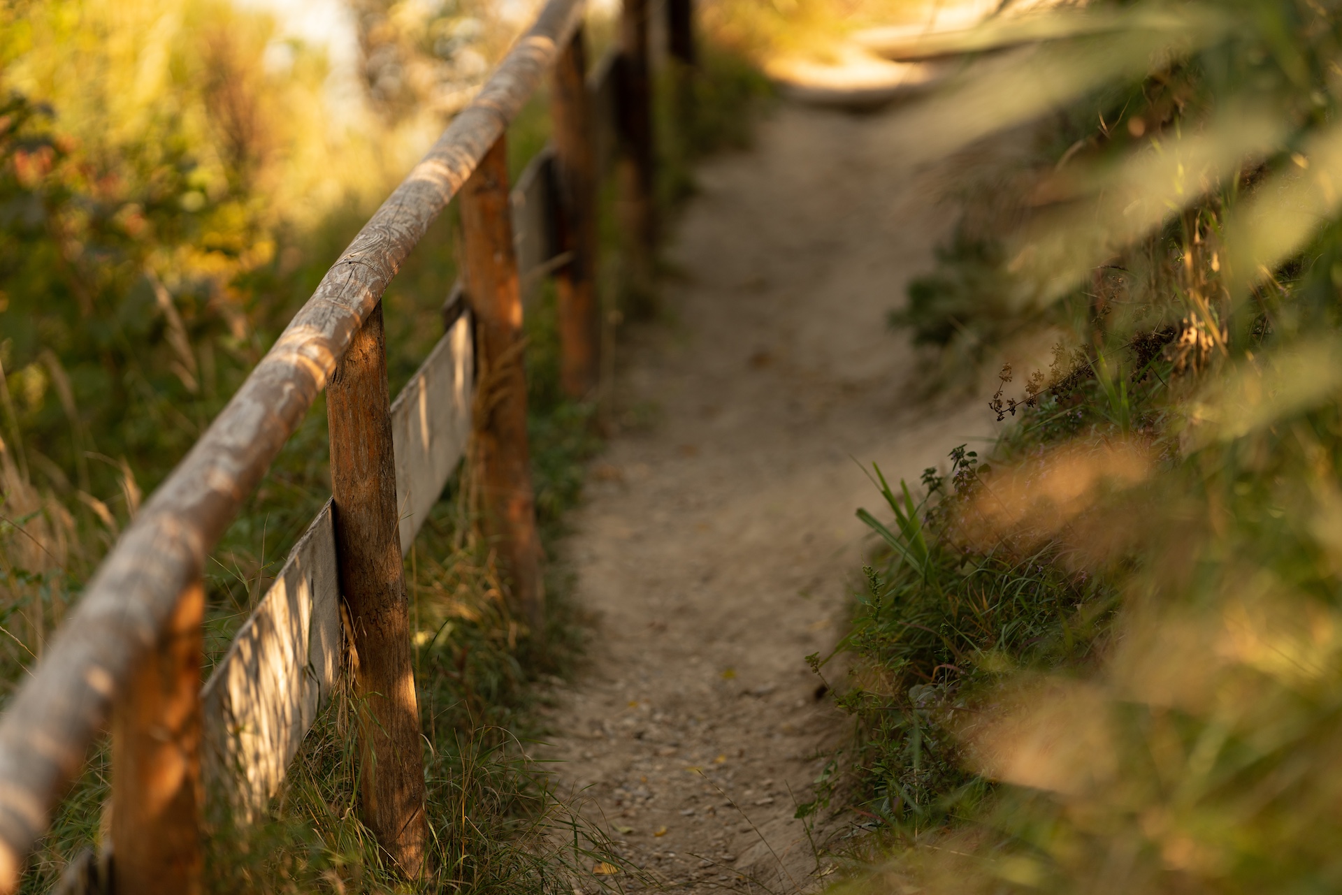 Territorio 12 Domus Pacis Hotel Assisi assisi territorio via francesco viaggio spirituale assisi-territorio-via-francesco-viaggio-spirituale