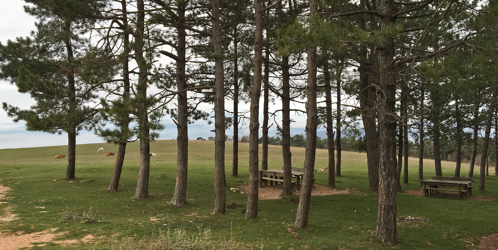 Territorio 11 Domus Pacis Hotel Assisi cosa fare umbria assisi parco monte subasio passeggiate trekking cosa-fare-umbria-assisi-parco-monte-subasio-passeggiate-trekking